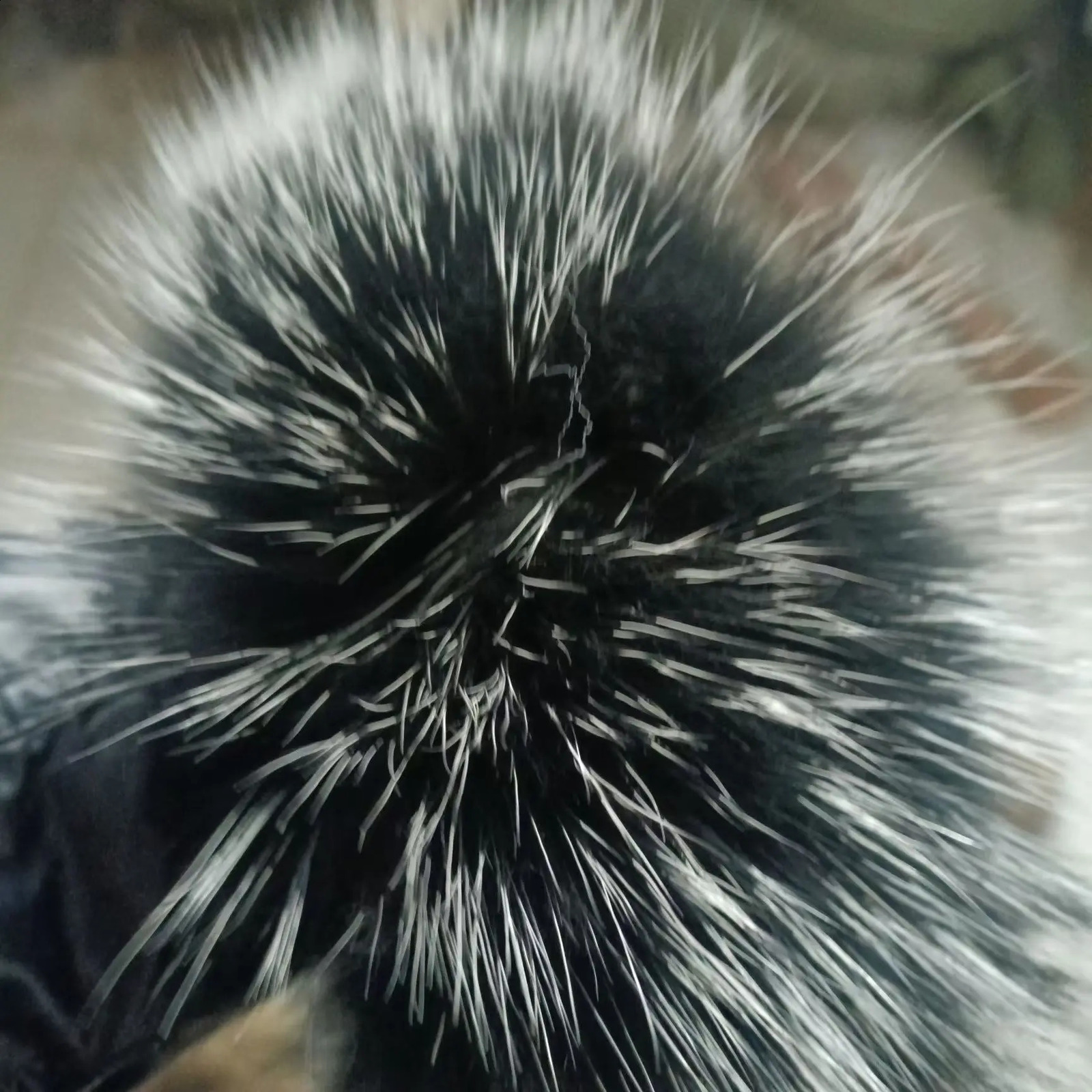 8-Color DIY Natural Leather Cuff Warmer Genuine Raccoon Fur Boots Cuff Sleeves Womens Winter Coat Down Gloves 241206