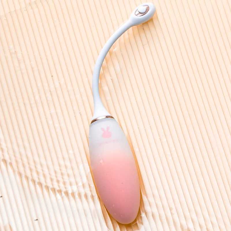 APP-Controlled Heating Vibrating Vibrator 9 Modes for Clitoral Vaginal Stimulation Wearable Design with Gradient ColorXJ241206