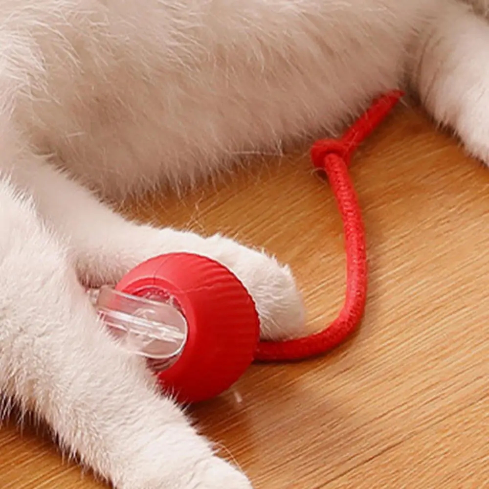 Intelligent Teasing Cat Ball Pets Play Boredom Toys Decompression Automatic Rolling Toy Ball Sound Wake-up Rechargeable Ball Toy WLL2482