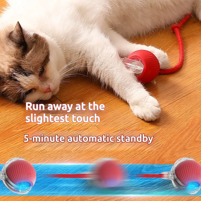 Intelligent Teasing Cat Ball Pets Play Boredom Toys Decompression Automatic Rolling Toy Ball Sound Wake-up Rechargeable Ball Toy WLL2482