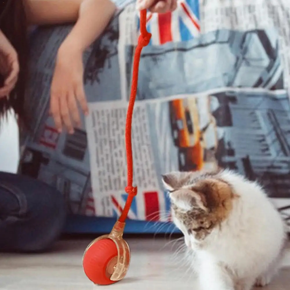 Intelligent Teasing Cat Ball Pets Play Boredom Toys Decompression Automatic Rolling Toy Ball Sound Wake-up Rechargeable Ball Toy WLL2482