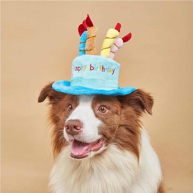 Pet Dog Hat for Birthday Party Adjustable Dog Hats Cats Dog Costumes Puppy Grooming Dress Up Hat Pet Supplies