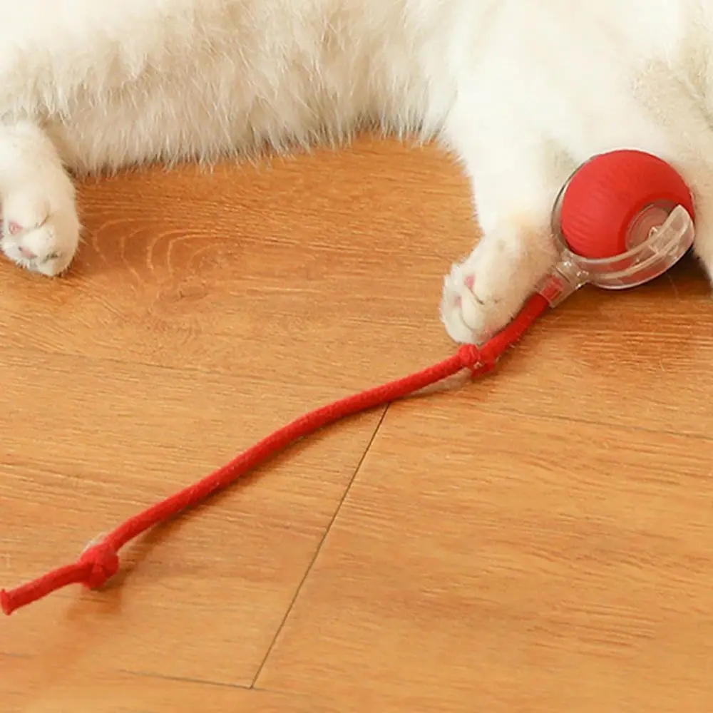 Intelligent Teasing Cat Ball Pets Play Boredom Toys Decompression Automatic Rolling Toy Ball Sound Wake-up Rechargeable Ball Toy WLL2482