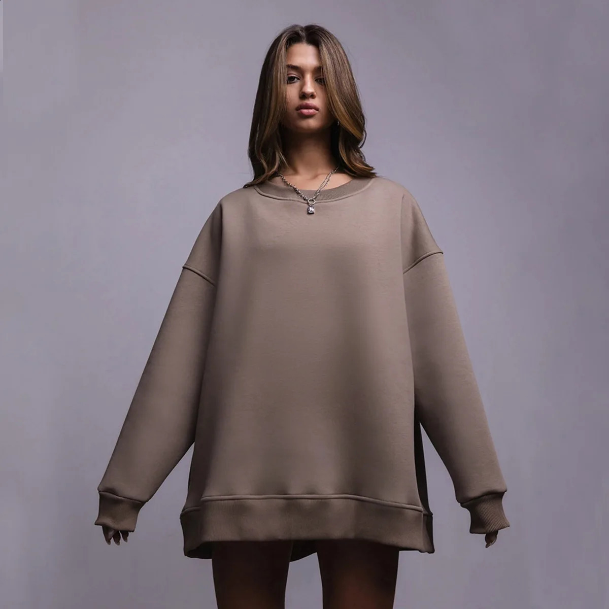 Solid Color Round Neck Hoodie Womens Fleece and Plush Casual 241203