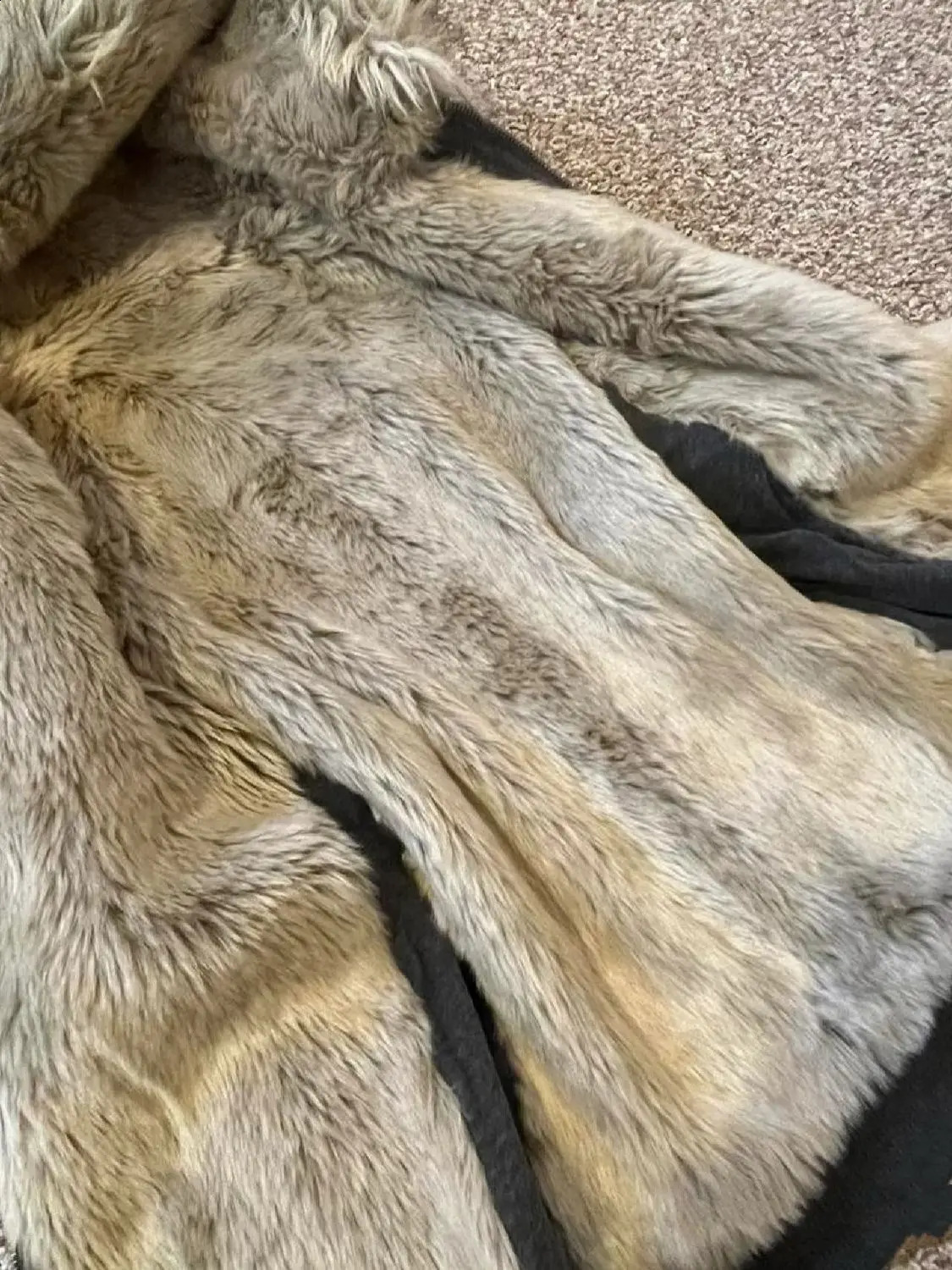 Hooded sweatshirt womens autumn American street style fur collar cardigan jacket n loose zipper thickened y2k top 241204