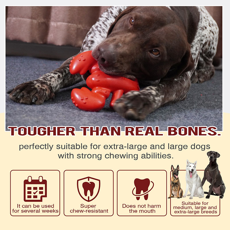 Boston lobster dog teething toys chewing chewing dog supplies training large dogs dog toys