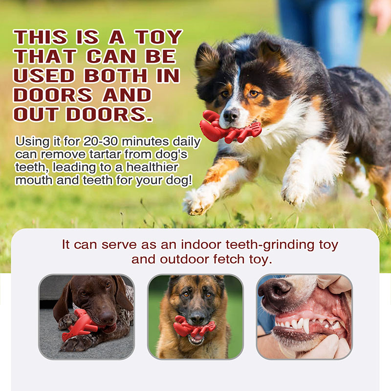 Boston lobster dog teething toys chewing chewing dog supplies training large dogs dog toys