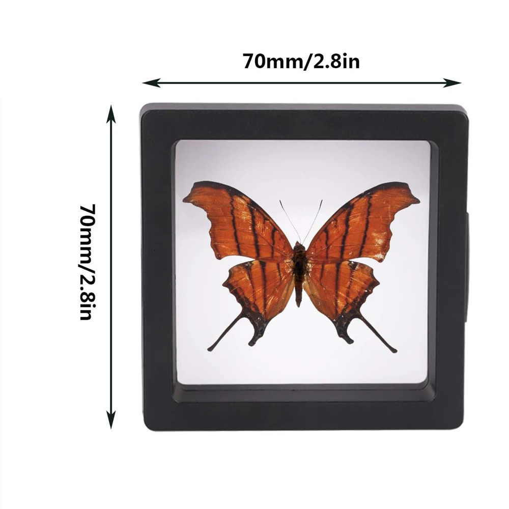 20 pieces of black 3D floating frame display stand coin display stand 3D floating frame challenge coin display stand 241206