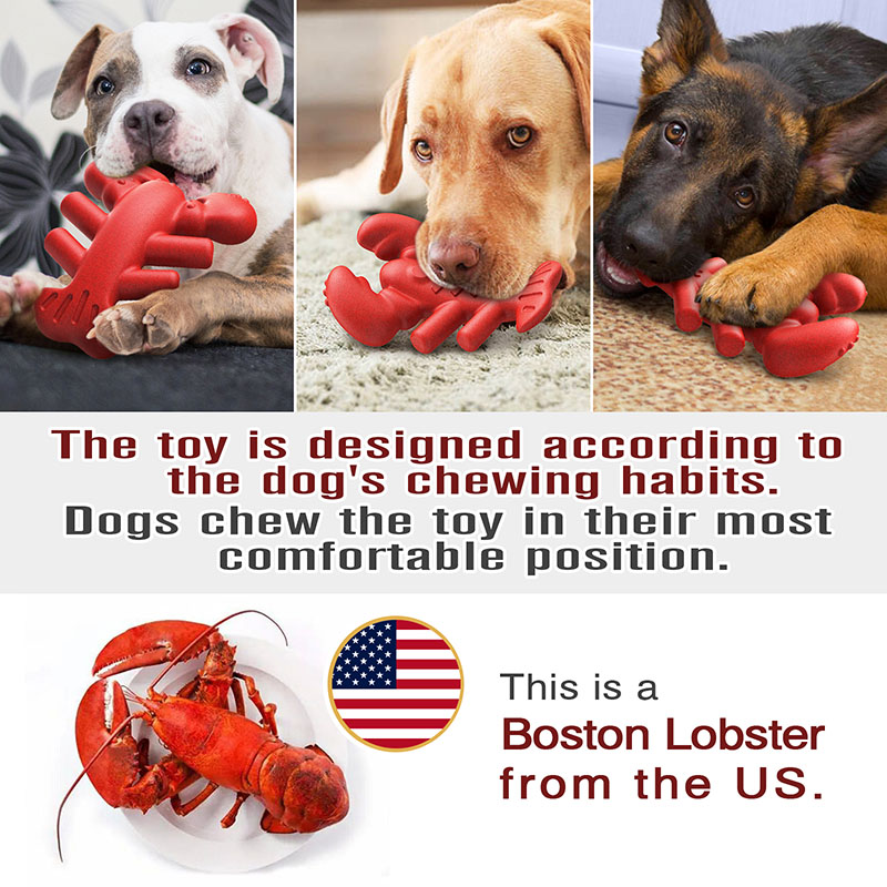 Boston lobster dog teething toys chewing chewing dog supplies training large dogs dog toys