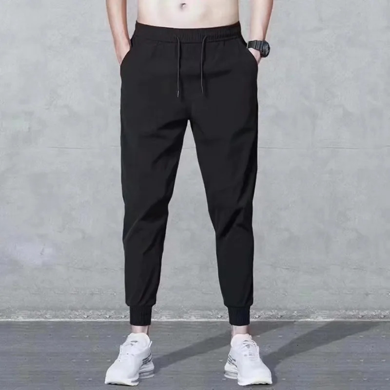 Winter thick plush sports pants for men brushed elastic waist harem to keep warm casual 241206