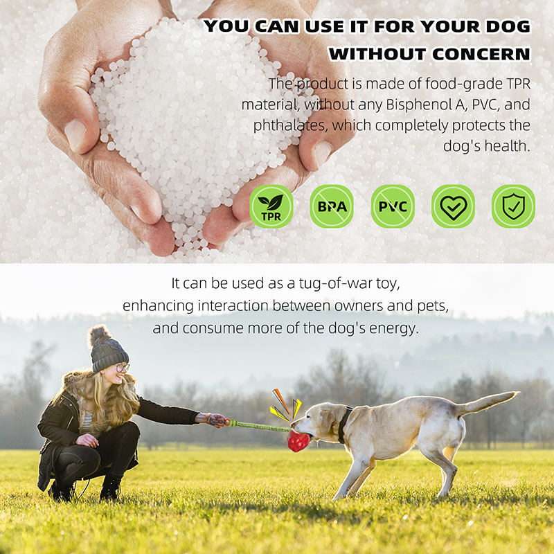 Pet apple ball dog teething gnawing apple dog teething bite not broken vent chewing resistant dog toys