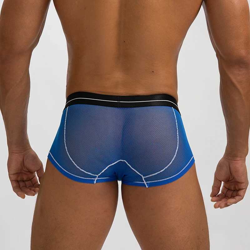 Sexy Ice Silk Mens Underwear Seamless Ultra Thin Full Mesh Boxing Shorts Mens Breathable Quick Drying Hollow Underwear X241207