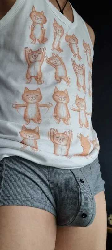 Mens Underwear Solid Color Boxing Button Letter 20 Thread Made Boxing Ted Underwear Men X241207