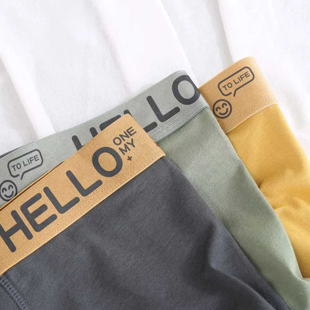 Mens underwear boxer shorts comfortable milk silk underwear Cuecas Calzoncillos boxing shirt Lot Plus size L-5XL X241207