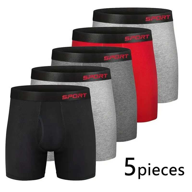 5 pieces of mens sports boxing underwear with letter broadband multi-color M L XL breathable fashionable fitness and sports X241207
