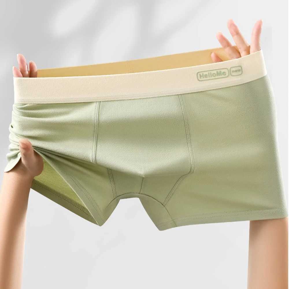 Mens underwear pure cotton mens underwear breathable boxing shorts mens boxing shorts solid color boxing shorts X241207