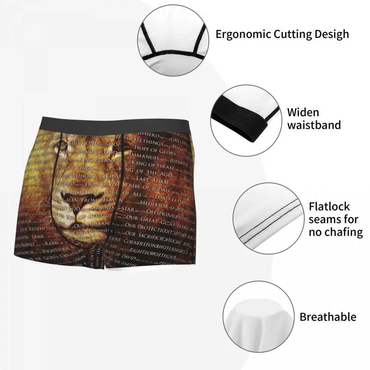 Mens Cool Gods Name Jesus Lion Underwear Christian Boxer Underwear Breathable Shorts Underwear X241207