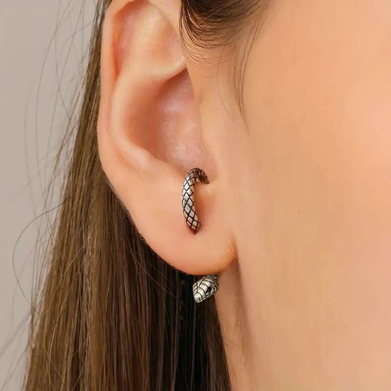 Trendy, exaggerated, simple, fashionable, snake shaped earrings, fun, niche animals, women's exquisite and earrings