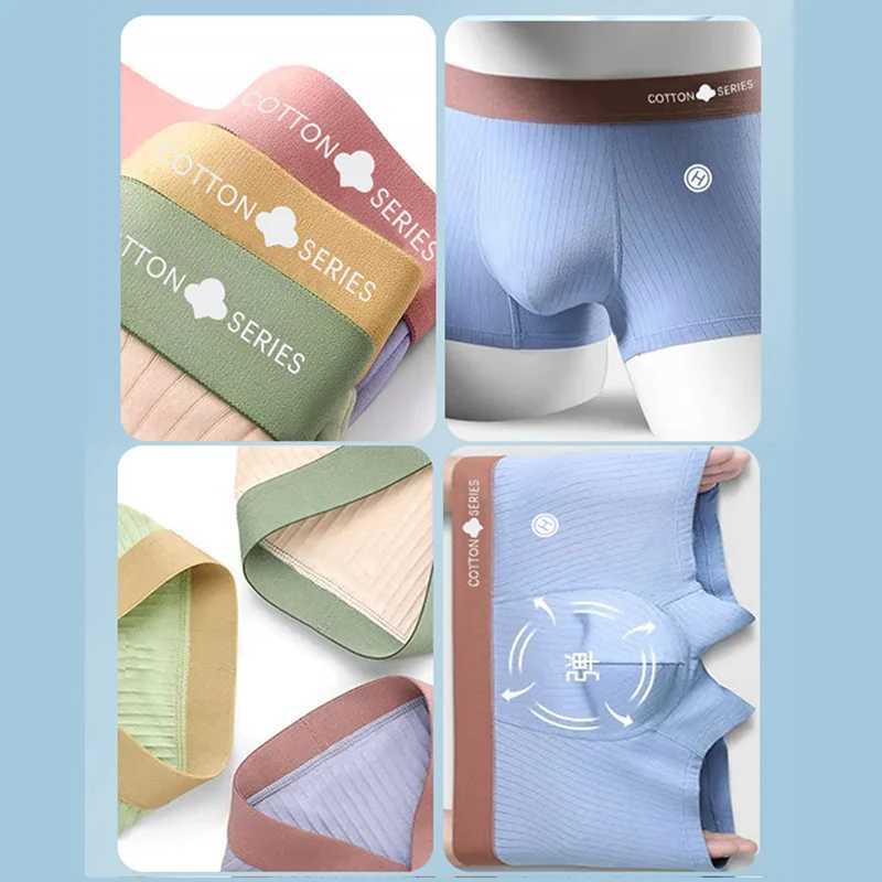 Mens 95% cotton boxing underwear sexy shorts character underwear mens underwear striped fresh fashion Plus size 2XL-5XL underwear X241207