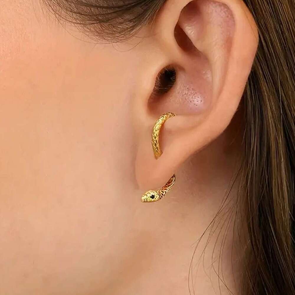 Trendy, exaggerated, simple, fashionable, snake shaped earrings, fun, niche animals, women's exquisite and earrings