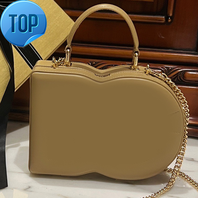 Luxury Bag Box Tote Bag Designer Bag Expensive Cowhide Leather Crossbody Bags Chain Purses Designer Handbag Metal Hardware Hasp Box Wallet Fashion Totes