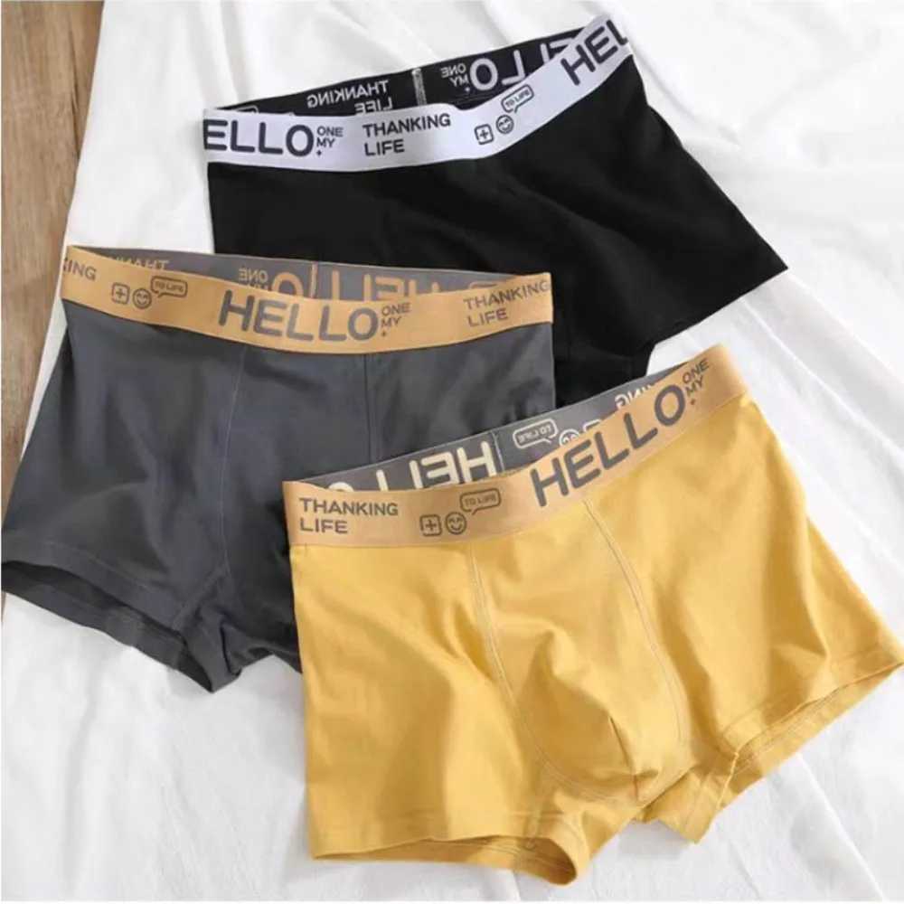 Mens underwear boxer shorts comfortable milk silk underwear Cuecas Calzoncillos boxing shirt Lot Plus size L-5XL X241207