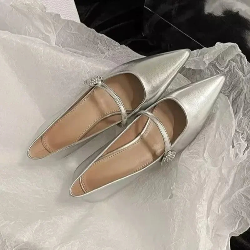 Pointed Toe Women Spring Silver ane Shoes Comfortable Low Heel Dress Simple Versatile Womens Pumps 241209