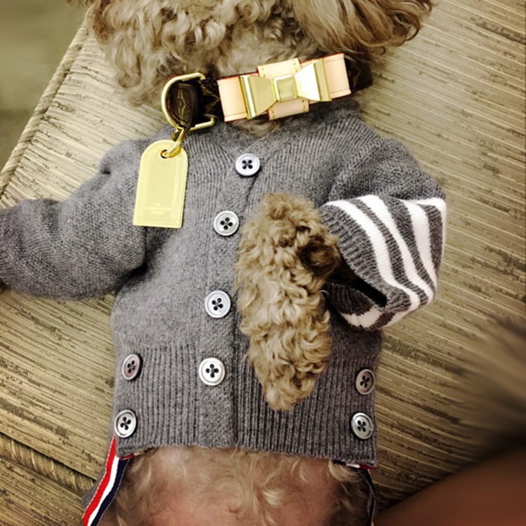 Designer Pet Bow Collar Leash Made Of Genuine Cow Leather - Perfectly Sized For Small To Medium Canines And Felines Comes With A Gift Box