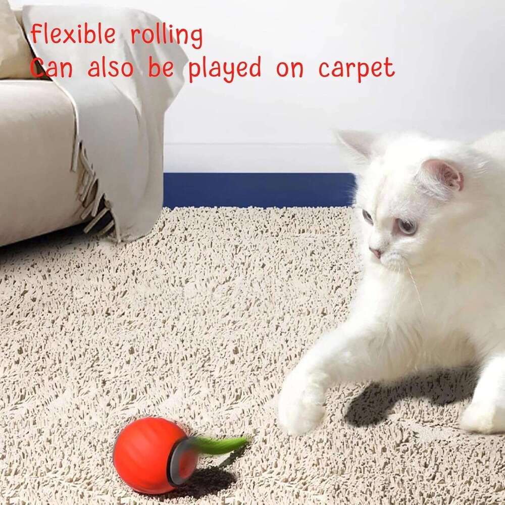2.0, Speedy Toy, Interactive for Indoor Cats, Automatic Moving Toy USB Rechargeable Smart Cat Toys Ball, Two Speed Adjustment, with Replacement Tail (