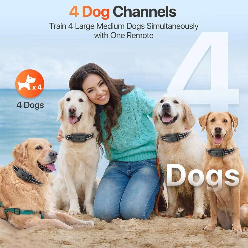 Collar, Dog Remote Control, Electric 4 Training Modes, IP68 Waterproof Rechargeable e Collar for Large Medium Dogs with Beep Shock and Security Lock