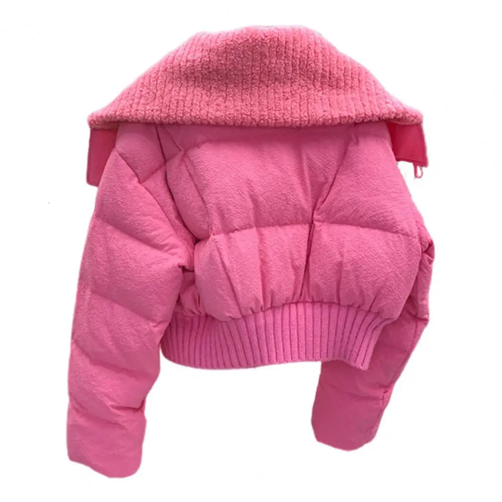 Short jacket womens winter cotton coat high collar with thick padding loose and warm cardigan 241209