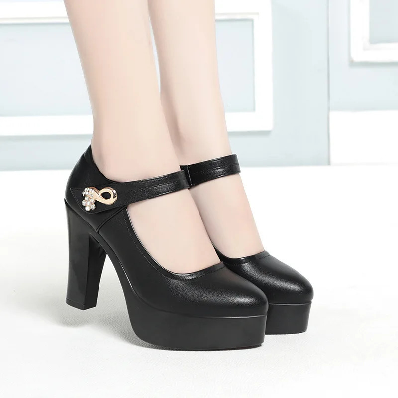 Plus Size 34-42 Women Platform Pumps Shoes Women Wedding Shoes Shallow Mouth High Heels Elegant Office Party Dress Shoes 241209