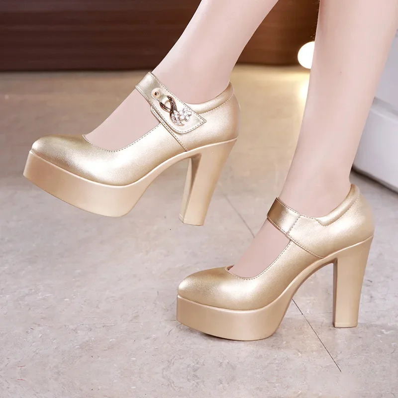 Women High Heels Block Heels Gold Silver Wedding Shoes Women Pumps Rhinestone 10cm Party Dress Shoe Plus Size 44 241209