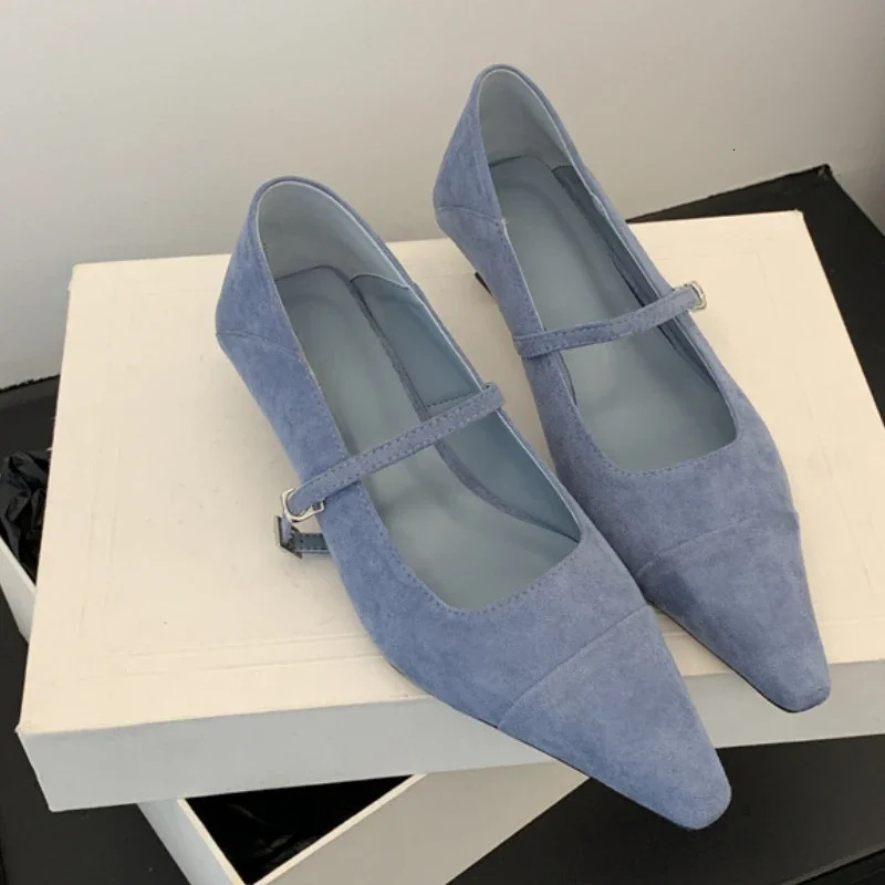 Autumn Women Pumps Pointed Toe Elegant Office Women Shoes Shallow Dress Shoes Suede Comfort Low Heel Mary Jane Shoes 241209