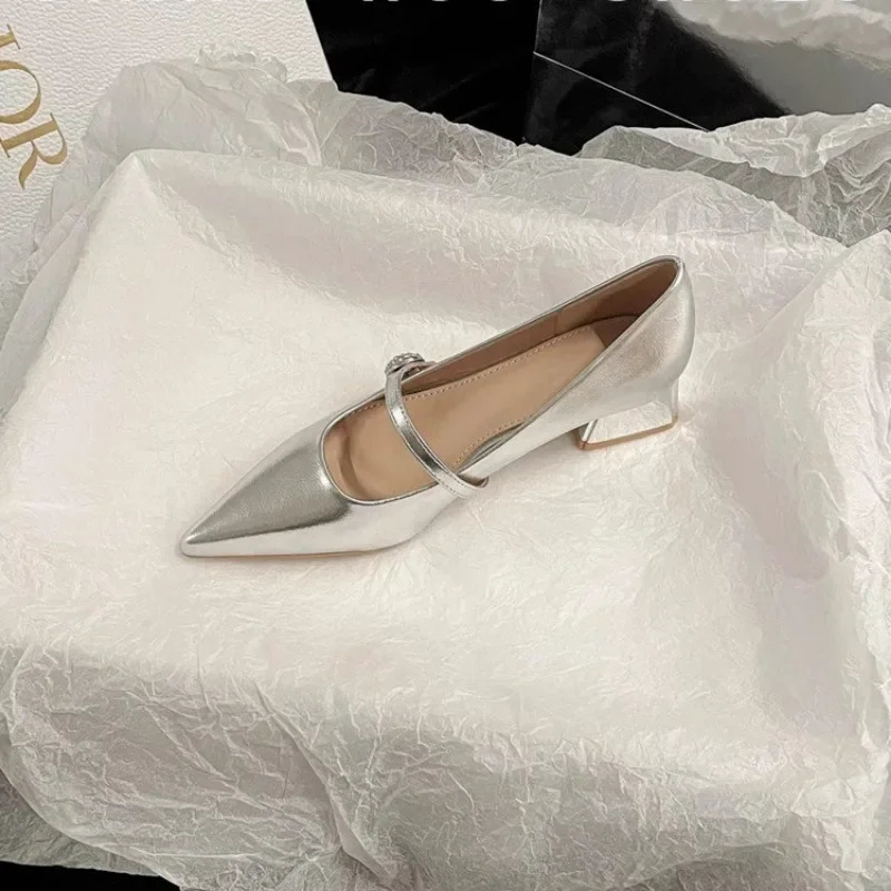 Pointed Toe Women Spring Silver ane Shoes Comfortable Low Heel Dress Simple Versatile Womens Pumps 241209
