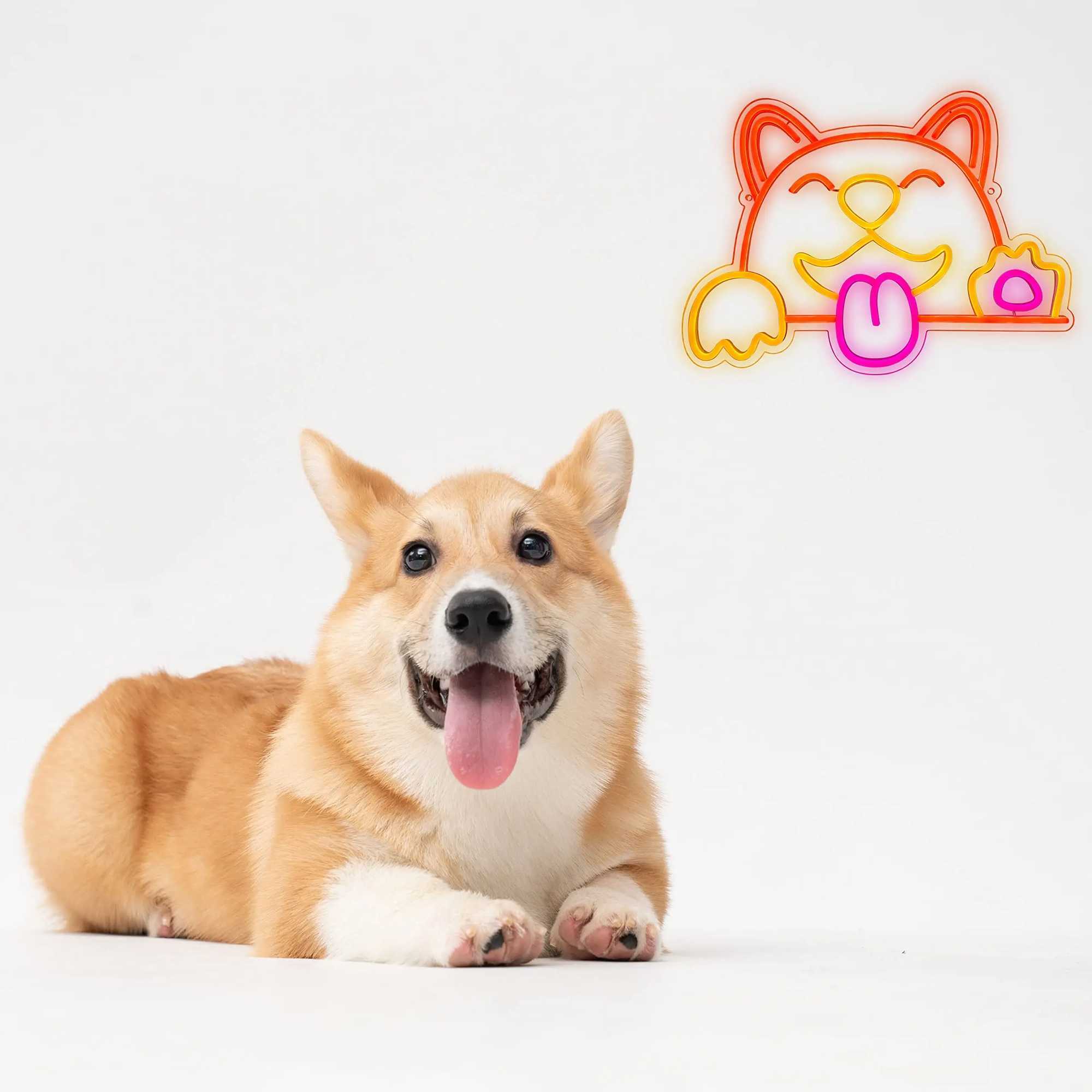 Cute dog LED neon light USB gift pet store commercial logo party bedroom wall mounted display decoration luminous neon light acrylic X241210 - view 4
