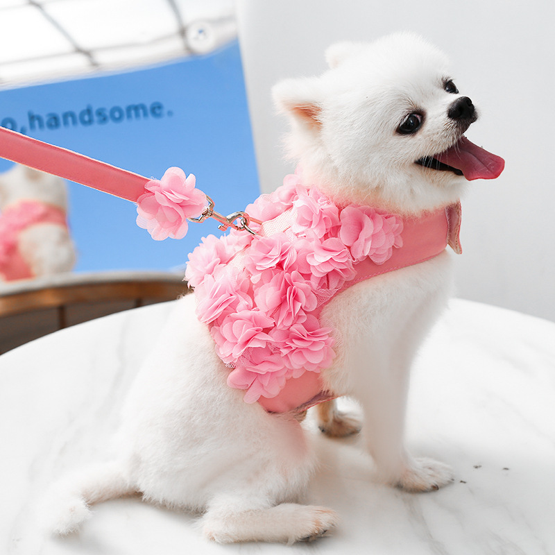 Small and medium-sized dogs, cat clothes, chest straps, wers, spring, summer, autumn dog leash, pet supplies wholesale, free shipping
