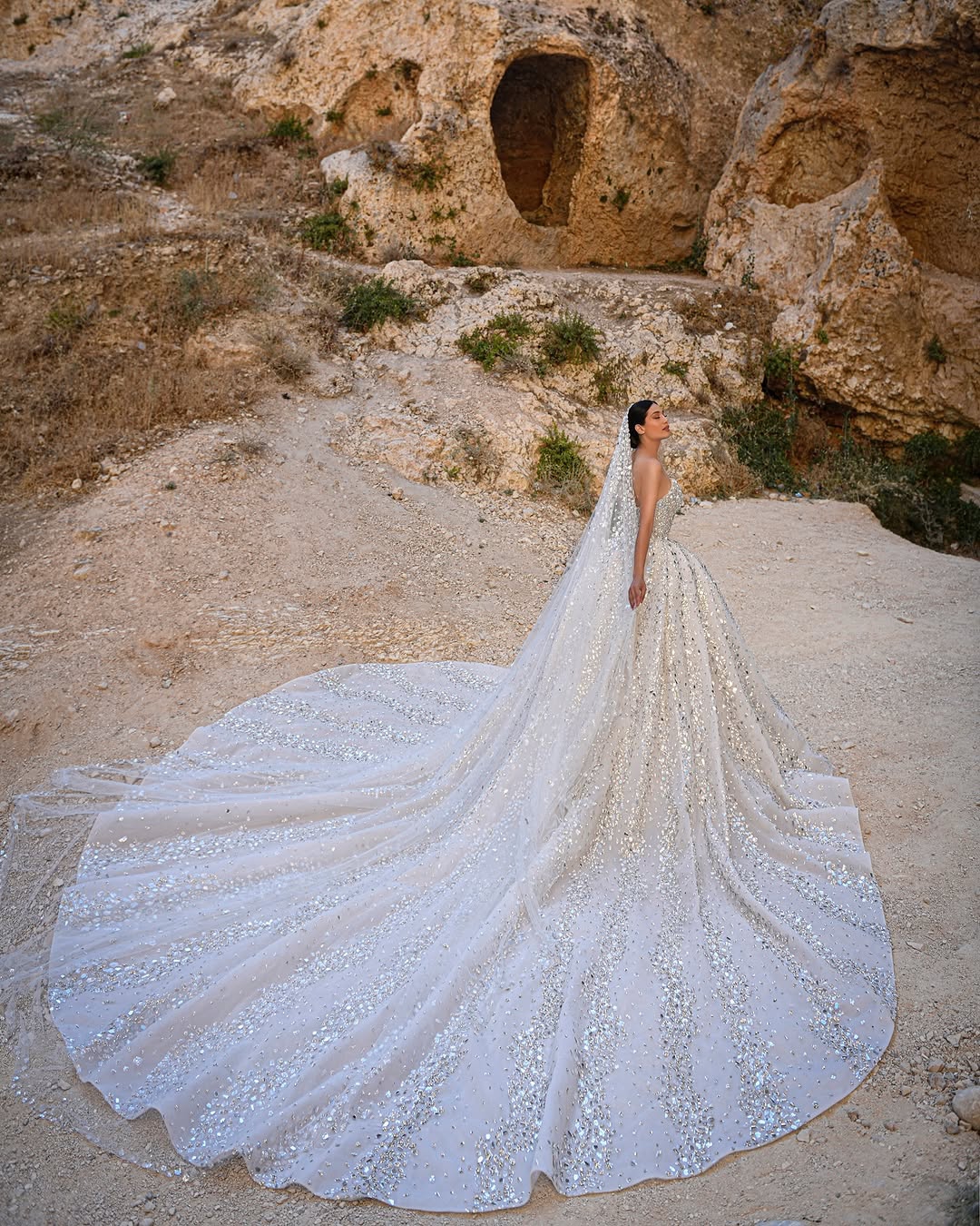 Junoesque Ball Gown Wedding Dresses Strapless Beads Sequins Appliques Rhinestones Crystals Lace Sweep Train Bridal Gowns Chic Dubai Custom Made Vestid