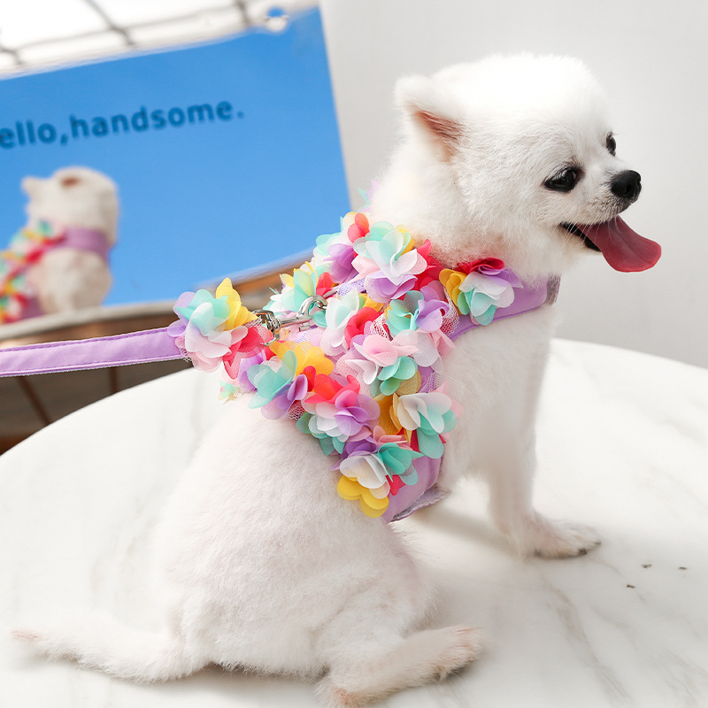 Small and medium-sized dogs, cat clothes, chest straps, wers, spring, summer, autumn dog leash, pet supplies wholesale, free shipping