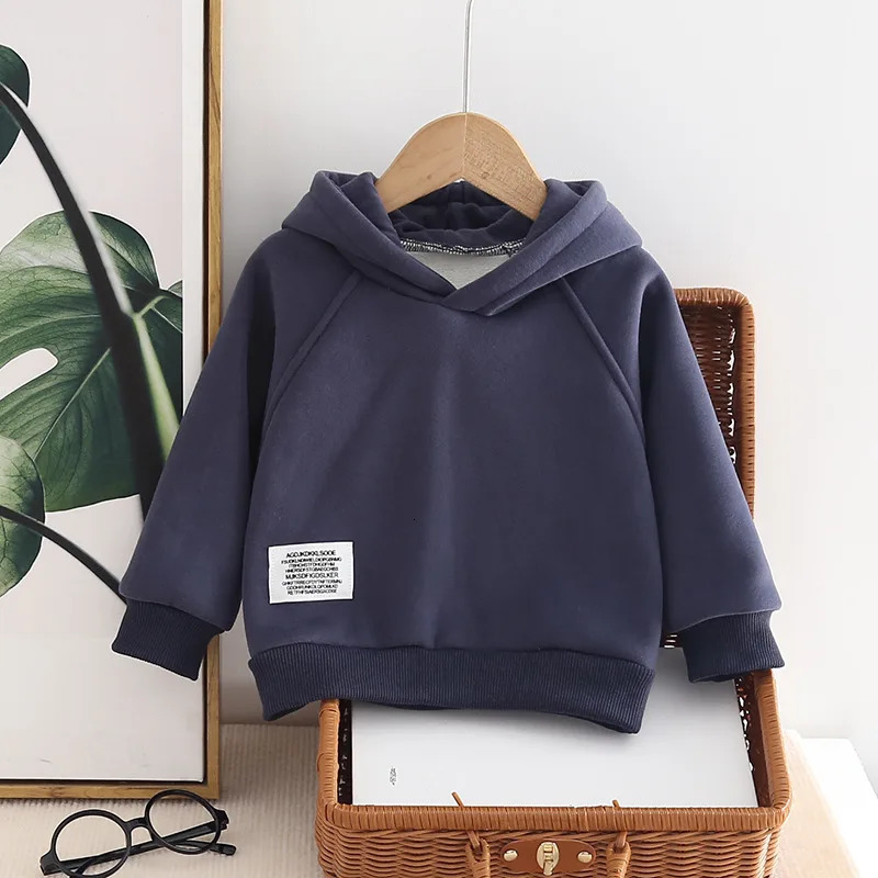 autumn winter baby boy sports shirt Plus velvet thick warm childrens boy hoodie loose sticker soft toddler boy drawstring 241210