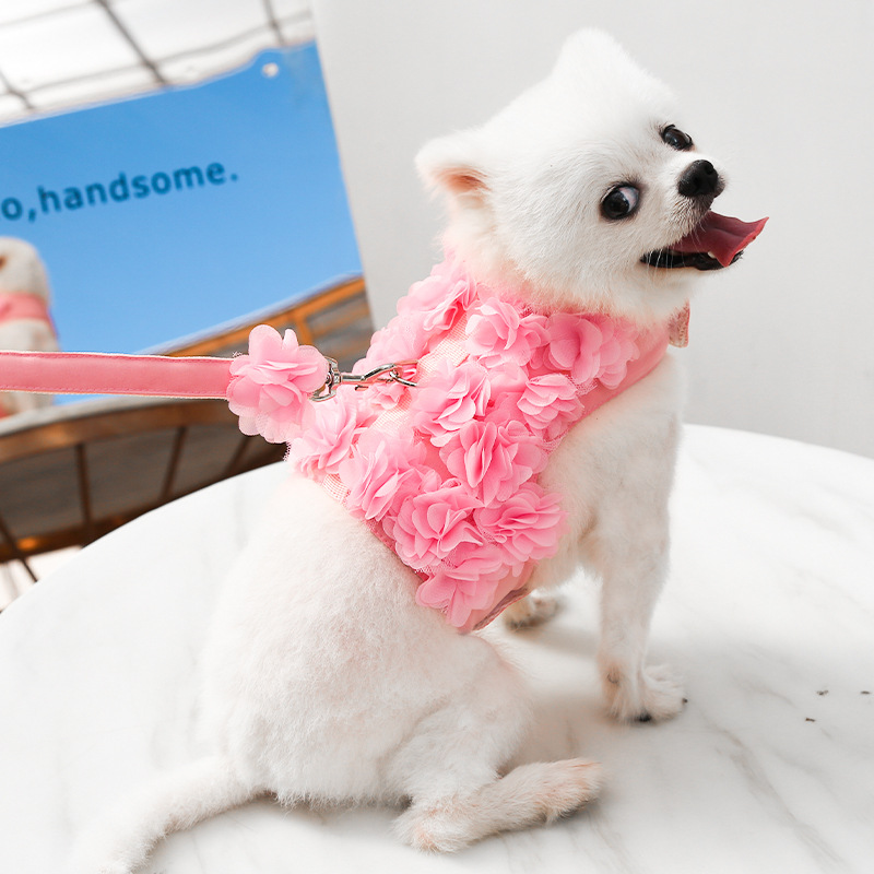 Small and medium-sized dogs, cat clothes, chest straps, wers, spring, summer, autumn dog leash, pet supplies wholesale, free shipping