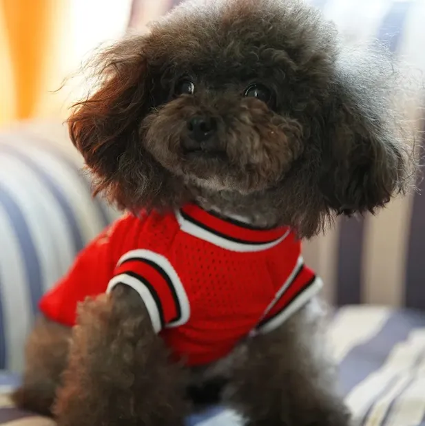 Designer Pet Clothes Dog Clothes Sports Dog Vests Mesh Pet Dog Basketball Team Uniform Shirts for Chihuahua size XXS-L Pet Products HF48