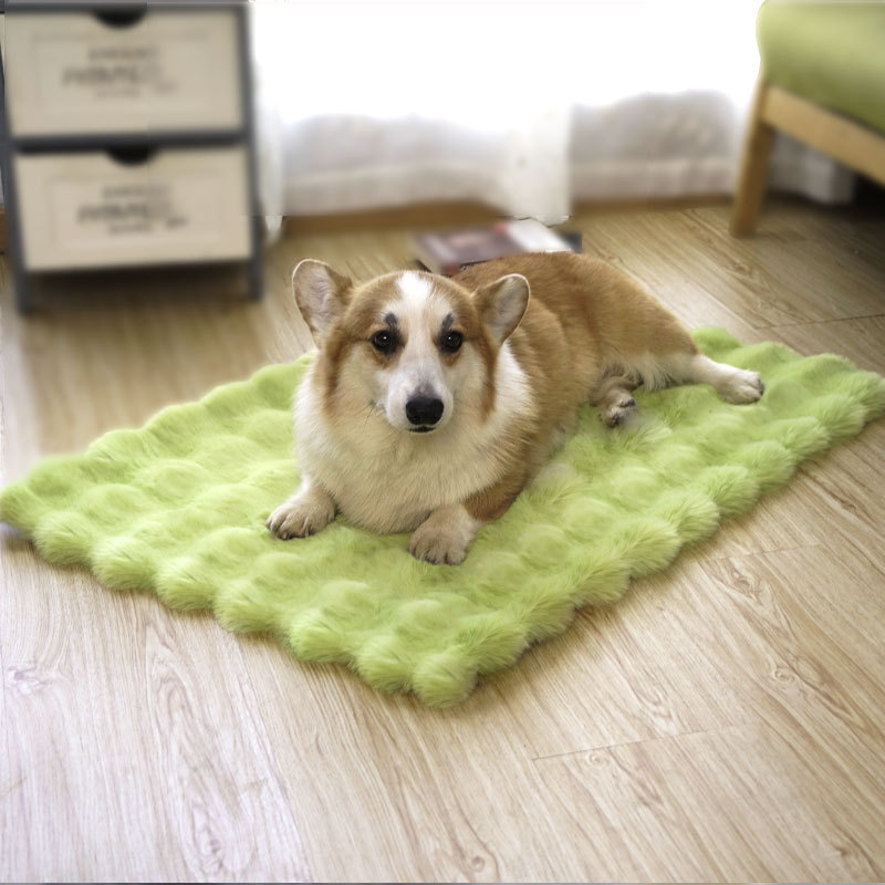 Update Plush Winter Cat And Dog Bed With Thick Warm Foam - Perfect For Cold Weather