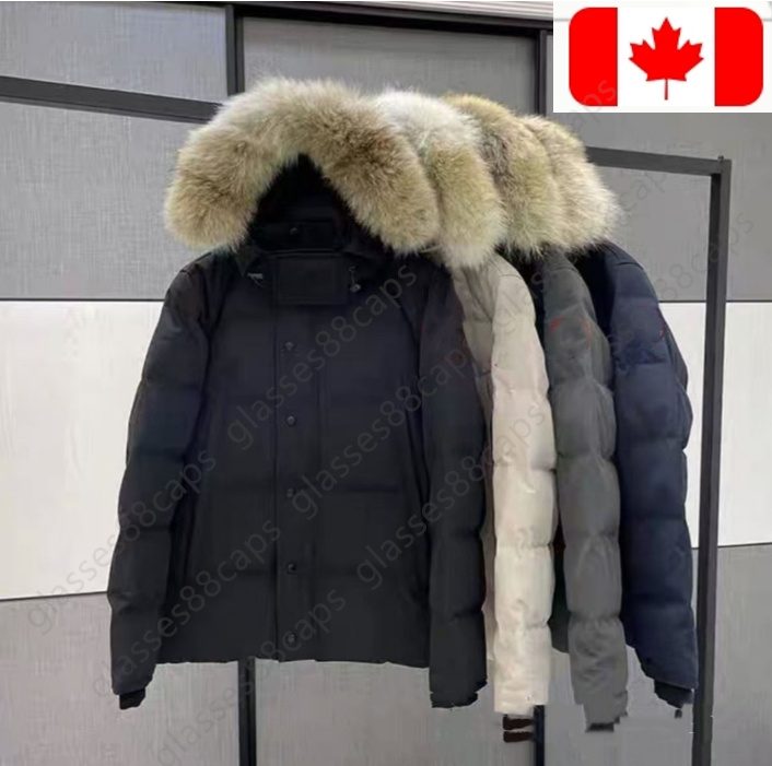 Winter jacket coat puffer jacket men winterjacke designer parka gray black men women coas brandclothesnice1 Sport coat Tops Outwear Multiple Colour size xs-2xl
