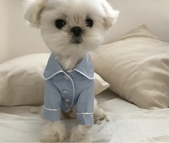 Summer French dog pajamas Pomeranian bear bullfighting small dog Teddy pet clothes shirt Feel Comfortable When Touched HF28
