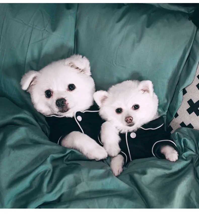 Summer French dog pajamas Pomeranian bear bullfighting small dog Teddy pet clothes shirt Feel Comfortable When Touched HF28