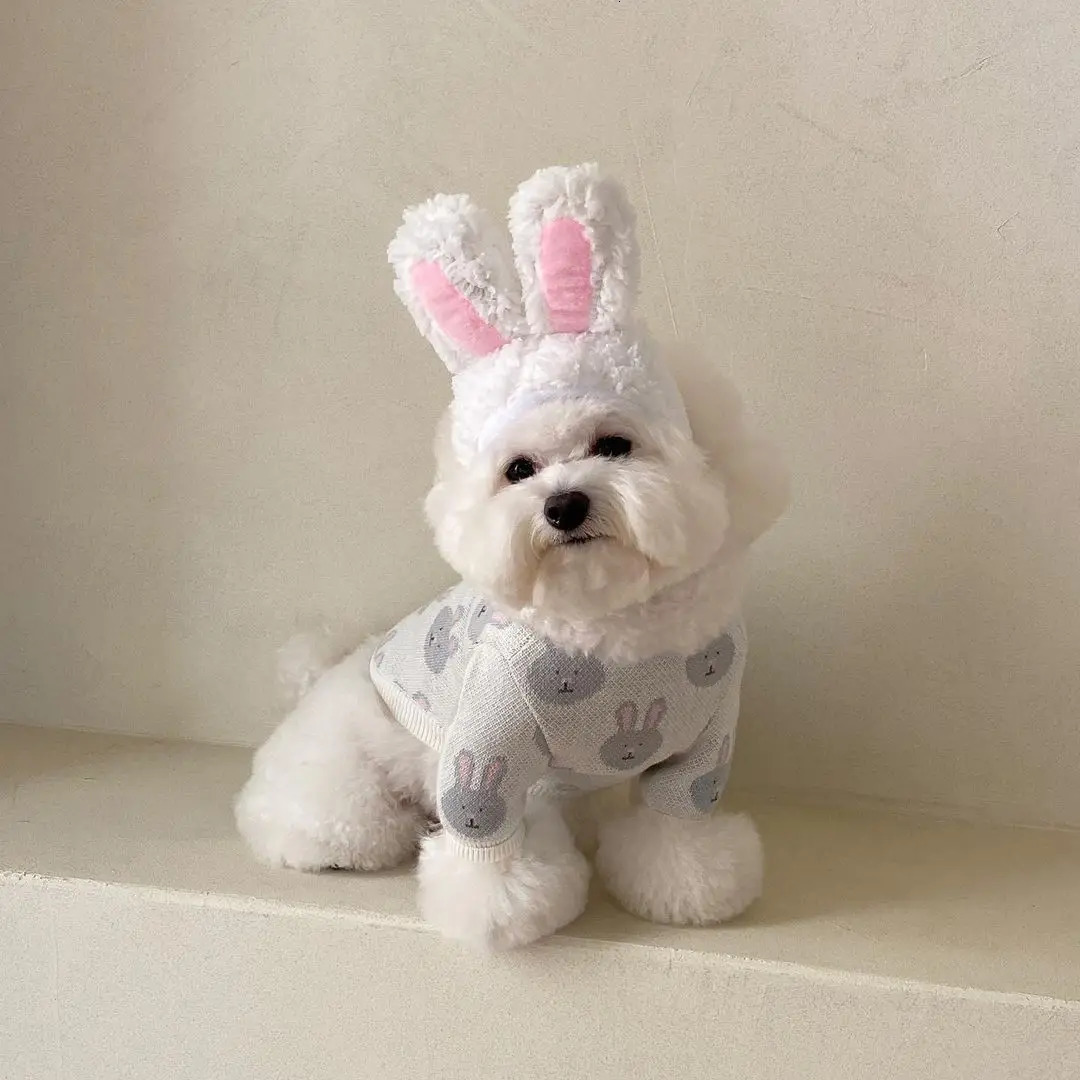 Cute rabbit Mane Cat Wig Hat for Dogs and Cat Small Dog Pet Cat Decor Accessories Lion Wig Fancy Hair Cap Pet Supplies 241212