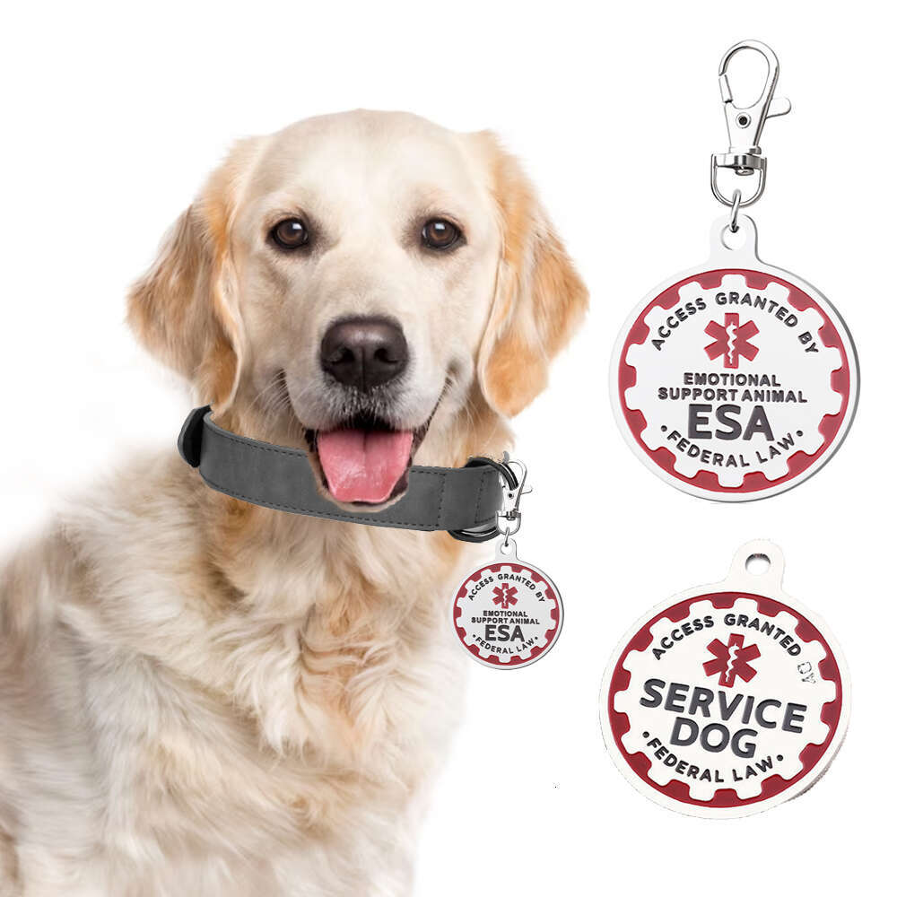 2Pc Stainless Steel Engraved Nameplate Emotional Support Animal ESA Service ID Tag Dog Collar Acceorie