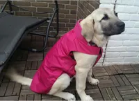 Dog Apparel Big Clothes Large Winter Warm Coat Clothing Dogs Jacket Pet Windproof Solid Color Down XS-4XL HF25