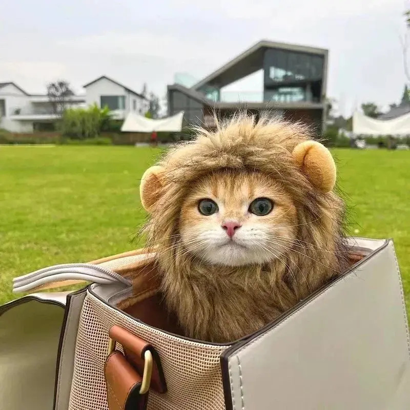 TONG Cat Lion Costume Hat Lion Mane Wig for Cat Costume Lion Hair Cat for Halloween Christmas Lion Head Mane Hat for Cat 241212